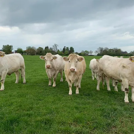 Semesterbostad Helene