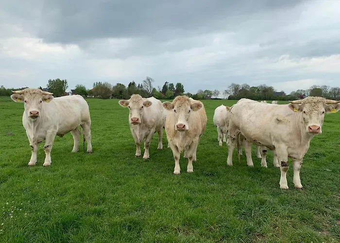 בית נופש Helene